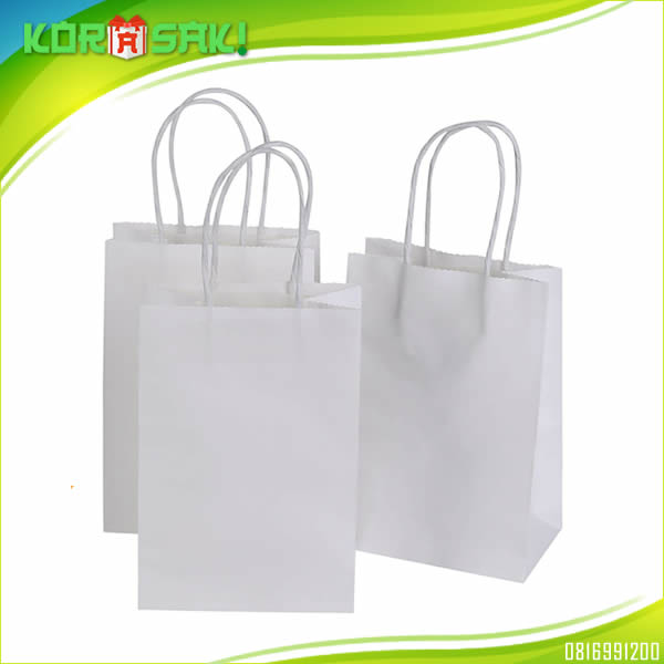 Papper Bag White Craft Costum